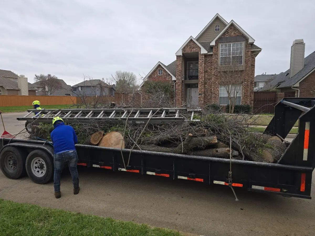 Expert Lot Clearing with proper safety equipment in Butler